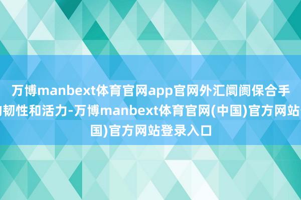 万博manbext体育官网app官网外汇阛阓保合手着较强的韧性和活力-万博manbext体育官网(中国)官方网站登录入口
